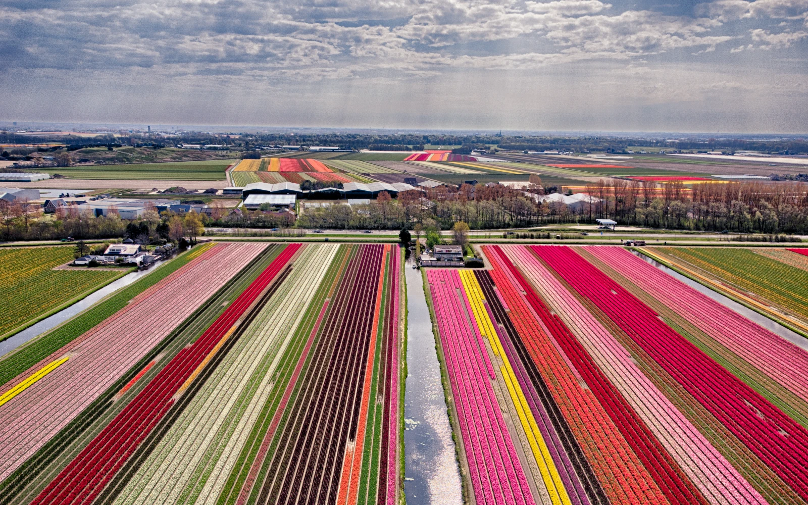 Bollenveld vergezicht